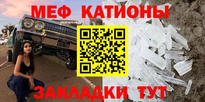 ешки Кингисепп