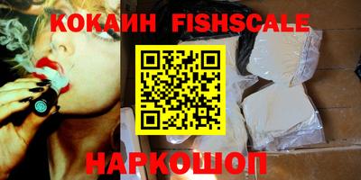ешки Кингисепп