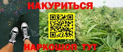 ешки Кингисепп