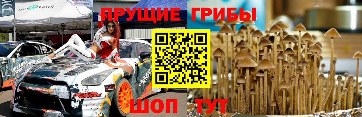 Галлюциногенные грибы ЛСД Костомукша