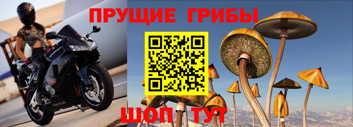 Костомукша  Галлюциногенные грибы мицелий  Вход с VPN 