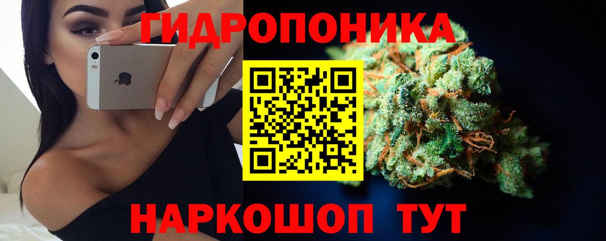 Костомукша  МАРИХУАНА семена  Вход с VPN  Бошки марихуана план  Бошки Шишки VHQ 
